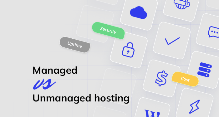 Managed vs Unmanaged Hosting: Key Distinctions - 10Web